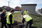 Sadnja Metličaste kerleuterije u Popovači