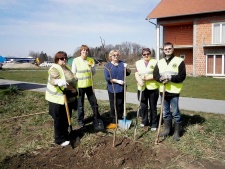 Sadnja Metličaste kerleuterije u Popovači